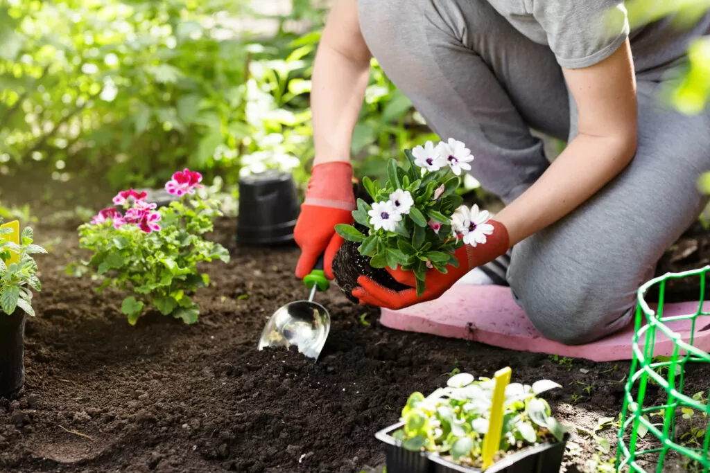 Avoid pain during gardening